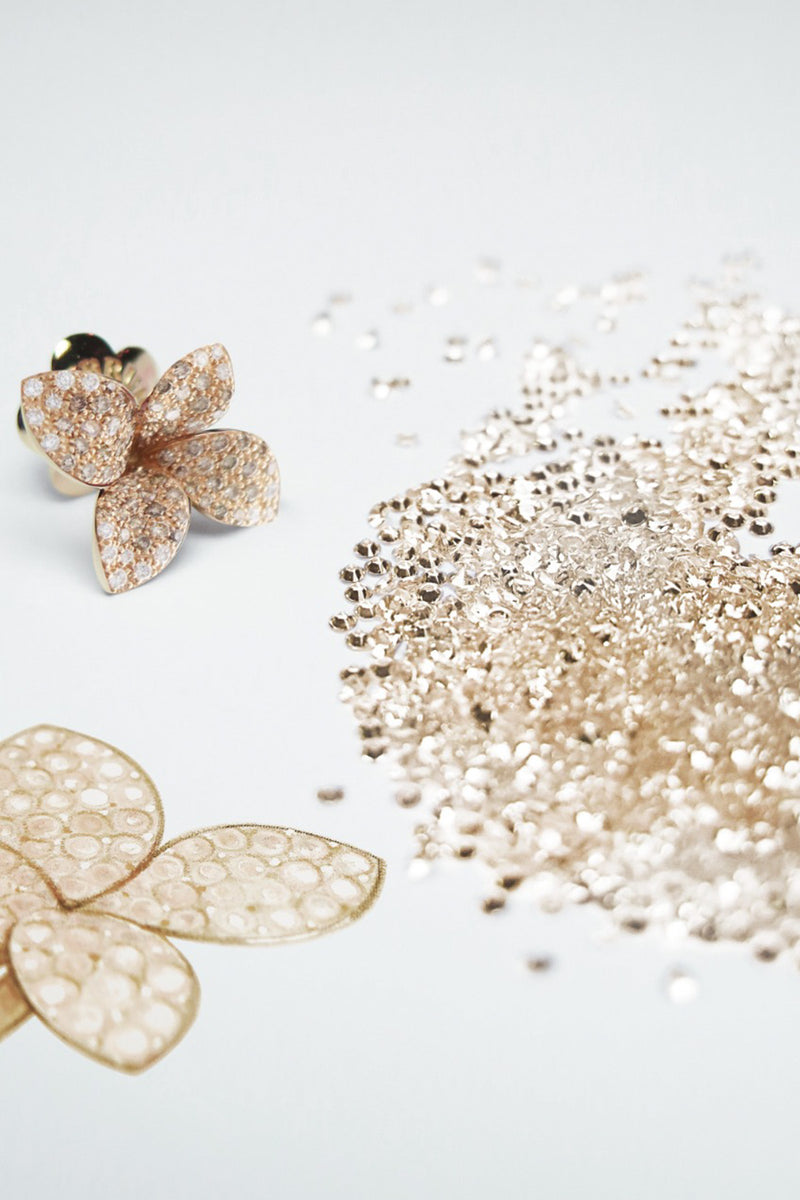 Champagne Diamond A Complete Guide Pasquale Bruni