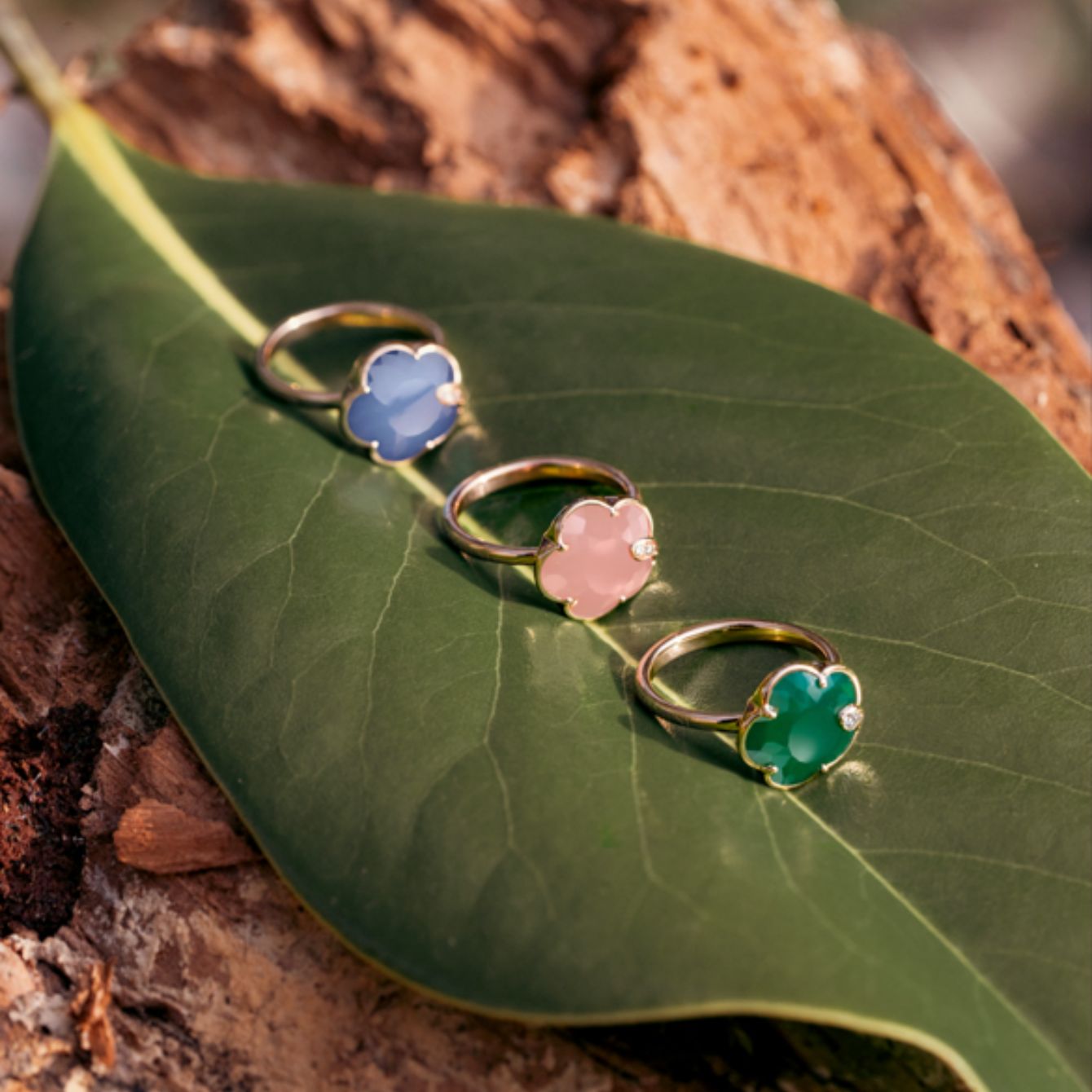 Colored Petit Joli rings on green leaves