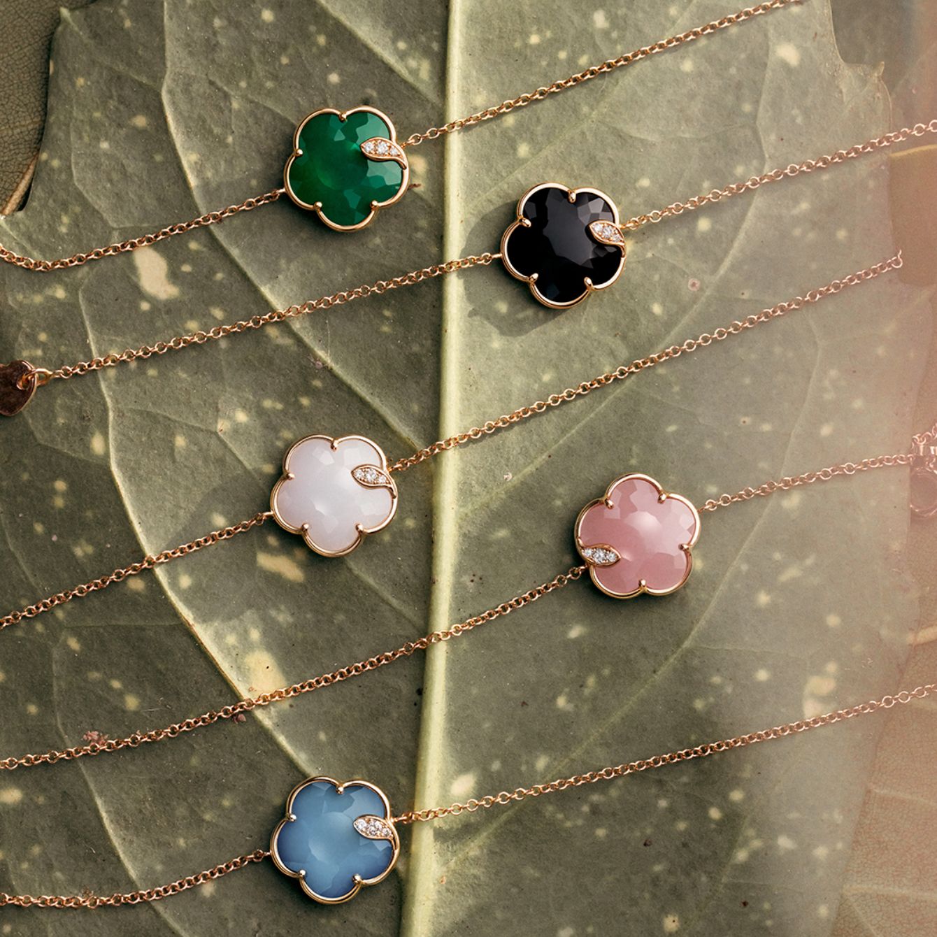 Colored Petit Joli bracelets on green leaves