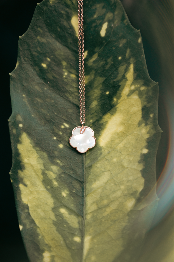 Colored Petit Joli necklace on green leaves