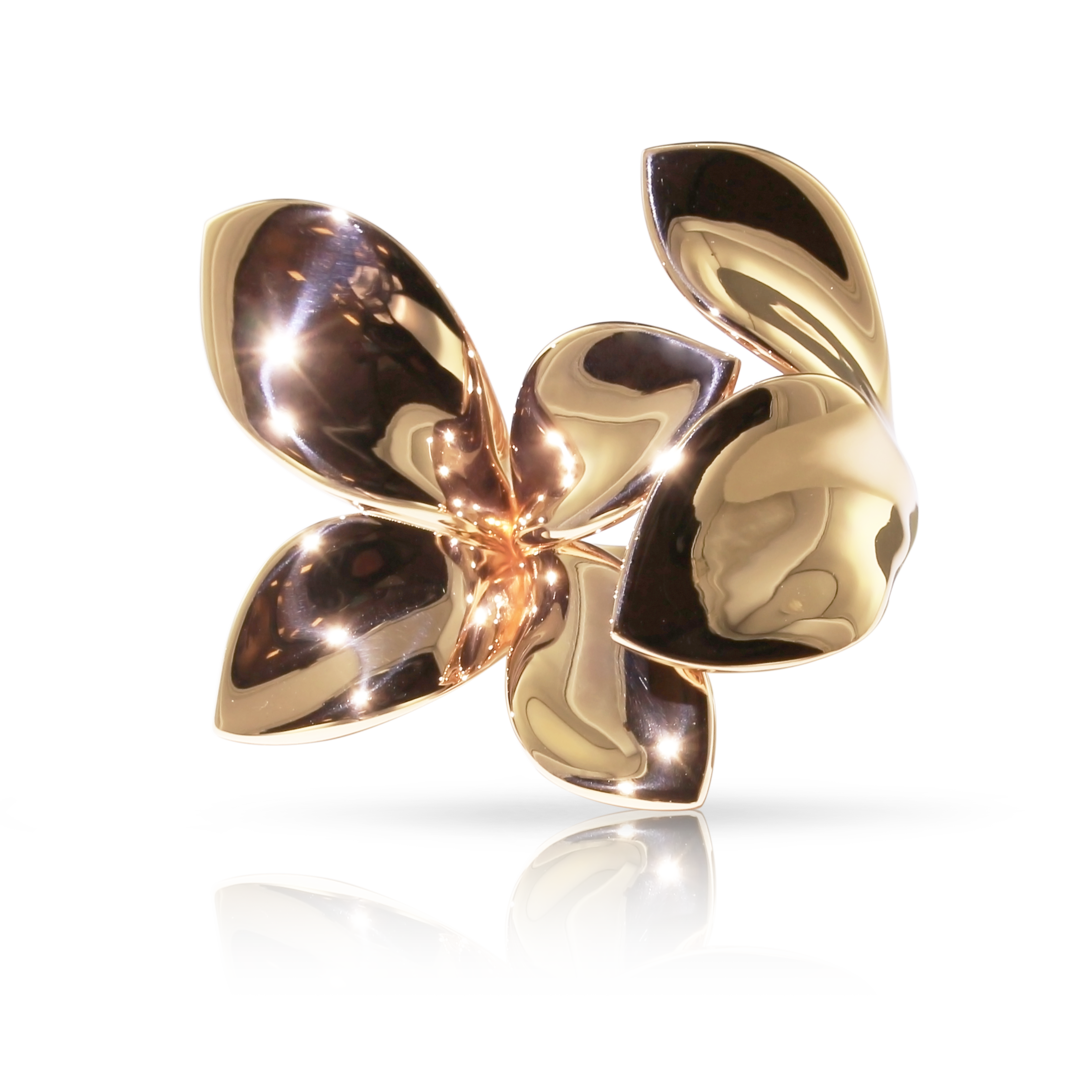 BAGUE GIARDINI SEGRETI