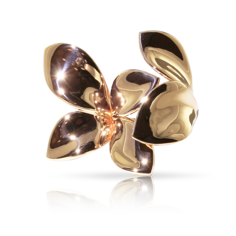 BAGUE GIARDINI SEGRETI